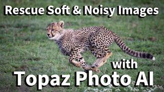 Topaz Labs Photo AI    Saving noisy and soft images from the trash bin. #topazlabs #lightroom