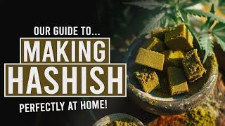 Make Perfect Potent Hashish at Home