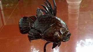 Coconut shell craft..Fish.