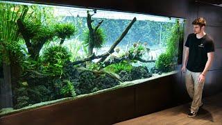 Private Tour of WORLDS *BEST* Planted AQUARIUM