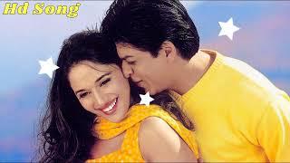 Lo Jeet Gaye Tum Humse Hum Haar Gye Iss Dil Se  Shahrukh Khan Madhuri D  Dholna  90s Melody Song