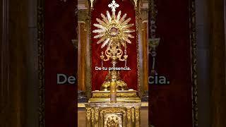 Sentir la Presencia de Dios #oracióncatólica #oracionescortas #santísimo #horasanta #alimentodefe