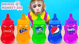 Monkey Rio Makes Colorful Jelly Ice Cream and Eats Baby Duckling in the Park  Animal Monkey Rio