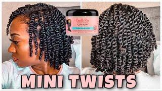 JUICY MINI TWISTS ON NATURAL HAIR  Protective Style