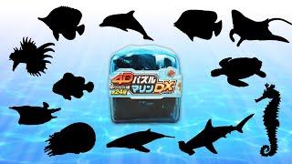 海の生き物の立体パズル 4Dパズル マリンDX 12個 サメ、カクレクマノミ、ウミガメ、イルカなど