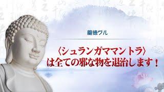 龍徳グル：〈シュランガママントラ〉は全ての邪な物を退治します！｜龍德上師【日語】