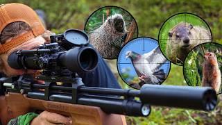 .25 cal Air Rifle Catch and Cook The Movie