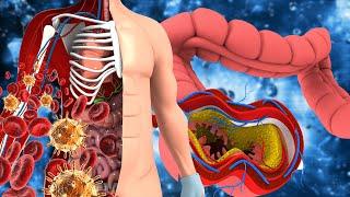 BLOOD CIRCULATION THROUGHOUT THE BODY  Cleanse Your Body & Soul  Positive Energy Flow 432Hz...