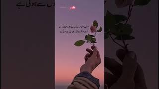 Aqwal e zareen in urdu  urdu quotes  urdu poetry  urdu shayari #shorts #short