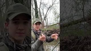 FASTEST FLY FISHING VIDEO  #fishing #shorts