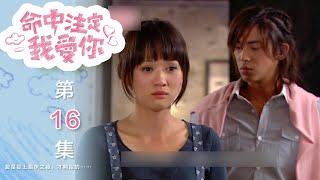 命中注定我愛你 Youre My Destiny EP16｜三立華劇