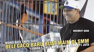  Murai Batu EMPU SURO  Beli Gaco Baru Khusus Main di SMM  Juara di Tiket Utama 11 Juta