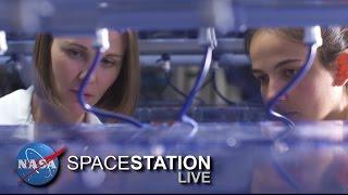 Space Station Live Genes in Space