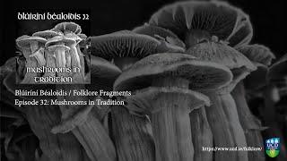 Folklore Fragments Podcast - EP32 - Mushrooms in Tradition