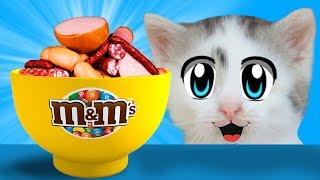 ПРИКОЛЫ С КОТАМИ СМЕШНОЙ КОТ МАЛЫШ И КОШЕЧКА МУРКА едят КОЛБАСНЫЙ m&ms  НОВЫЕ ПРАНКИ НАД КОТАМИ