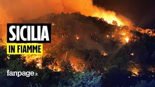 Incendi in Sicilia Palermo avvolta dalle fiamme roghi minacciano l’aeroporto e l’ospedale Cervello