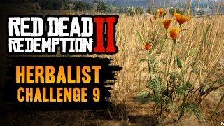 Red Dead Redemption 2 Herbalist Challenge #9 Guide - Pick one of each species of herb