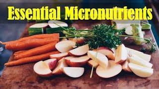 Sources of Essential Micronutrients Vitamins and Minerals
