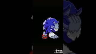 Werehog Sonic