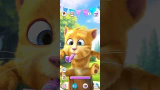 Ginger 2 ️️️️🫒🫒#shorts #tom #talkingtom #shortvideo #youtubeshorts