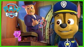 1 Hour Chase Saves the Royal Kitties and More - PAW Patrol - Cartoons for Kids