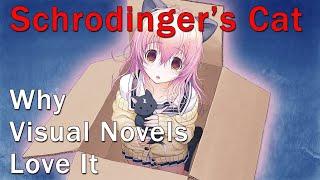 Visual Novels and Schrodingers Cat  TOP uses of Schrodingers Cat in VNs