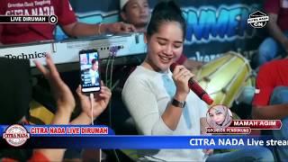 TURU NING PAWON  TARLING TENGDUNG  CITRA NADA LIVE DIRUMAH Part 03