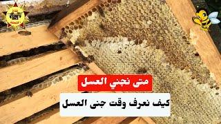 What is the right time to harvest honey?