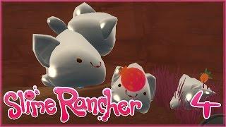 Playing with Tabby-Cat Slimes ️ Slime Rancher - Episode #4