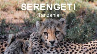 SERENGETI National Park  Tanzania