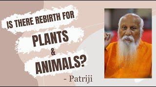 Is there Rebirth for Plants and Animals  Patriji  PMC English