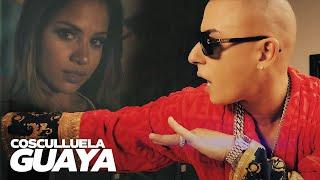 Cosculluela - Guaya Video Oficial