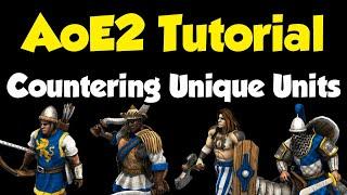 Beginners guide to countering every Unique Unit AoE2