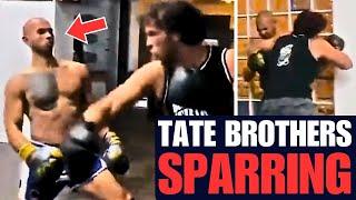 ANDREW TATE vs TRISTAN TATE  FULL SPARRING BREAKDOWN