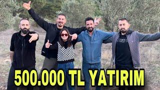 500.000 TL YATIRIM İLE KOYUN ALIYORUZ  KASAPLIK KUZU YETİŞTİRMEK