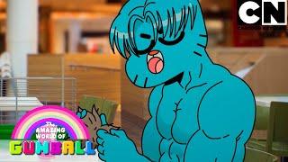 La Mascota Escolar  El Increíble Mundo de Gumball en Español Latino  Cartoon Network