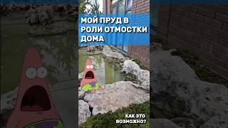 Мой пруд выполняет роль отмостки у дома. КАК ЭТО ВОЗМОЖНО?