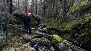 Kroken en stig vild och vacker längs Kroksjöbäcken.  Härryda kommun