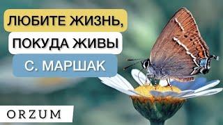 Этот гениальный стих необходимо знать каждому Стихи со смыслом - Любите Жизнь. Самуил Маршак