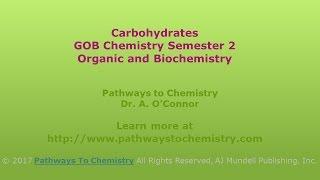 Introduction to Carbohydrates