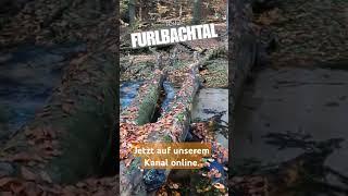 Gemeinsame Wanderung durchs Furlbachtal #shorts #outdoors #nature