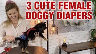 Female Doggie Diaper Review 3 ADORABLE brands  Sweetie Pie Pets by Kelly Swift