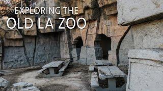 Old LA Zoo Exploring Griffith Parks Forgotten Zoo