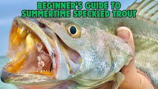 Beginners Guide To Catching Endless Speckled Trout In Summer