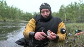 The mysteries of the freshwater pearl mussel