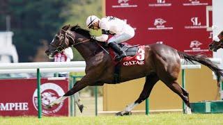 IRESINE wins the G2 Qatar Prix Foy