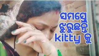 ସମସ୍ତେ ଝୁରୁଛନ୍ତି kitty କୁ#odia #viral #dailyvlog #@diptiswainlifestyle8283