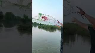 Best cast net fishing Catching big fish with cast net  Net fishing