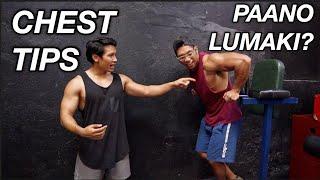 Pinoy Chest Workout Tips  Dos and Donts of Chest Training