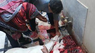 Goat Qurbani by Women  Takbeer can be performed by women herself.